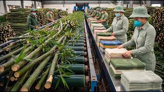 Bamboo to Towels | The Incredible Process of Making Soft Towels