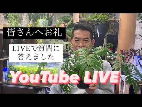 , title : '皆様にお礼　ライブで質問に答えました　YouTube Live  開花園チャンネル'