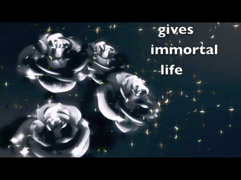 Stroke 69 - Black Rose ( lyric video )