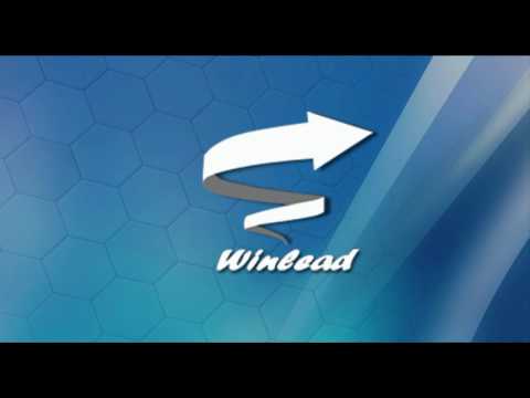 download lagu mp3 mp4 Winlead, download lagu Winlead gratis, unduh video klip Winlead