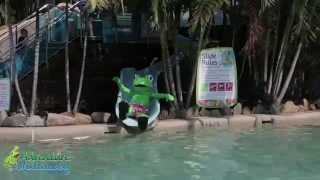 preview picture of video 'Gavin Adventure has some fun playing in BIG4 Adventure Whitsunday Resort'