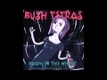 Bush Tetras - It's So Weird