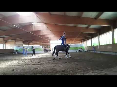 Junior Team Krumke I, San Zero,  SM in Bautzen