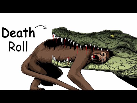 Why it Sucks to be Eaten by a Crocodile