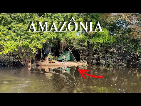 TIVE que parar de PESCAR, é muito PEIXE! ACAMPAMENTO com muito PEIXE na linha, FIZ molho de BOCUDO