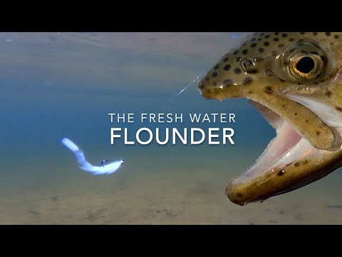 A Simple Micro Game Changer -  The Fresh Water Flounder
