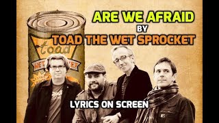 Are We Afraid - Toad the Wet Sprocket - With Lyrics