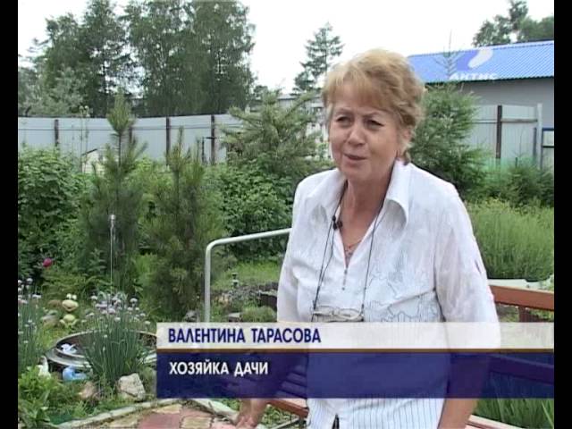 Как превратить пустырь в цветущий оазис