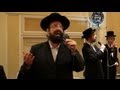 Yisroel Werdyger With Shira Choir - Moidim ...