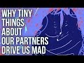 Why Tiny Things About Our Partners Drive Us Mad