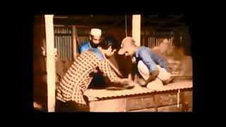 উন্নয়ন মলা-2018