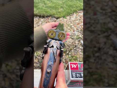 410 Shotgun (Stage Coach Gun)