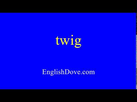 How to pronounce twig in American English.