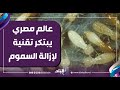 اكتشاف تاريخي.. تفاصيل توصل عالم مصري لتقنية تزيل السموم بخمائر أمعاء النمل الأبيض