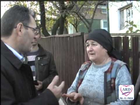 campanie 15 vile satu mare