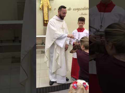 BENÇÃO DOS ANIMAIS NO DIA DE SÃO FRANCISCO DE ASSIS #catolico #sãofranciscodeassis #jesuscristo