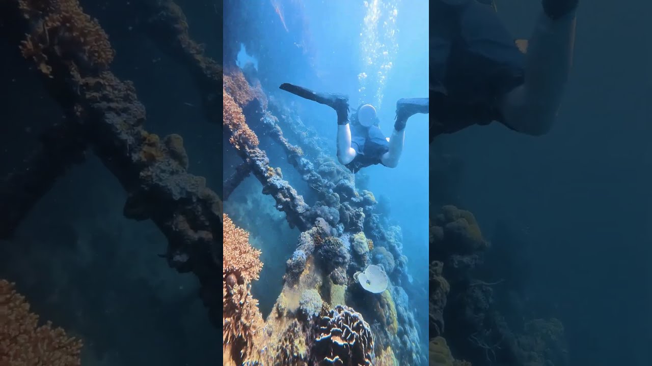 YouTube Short thumbnail