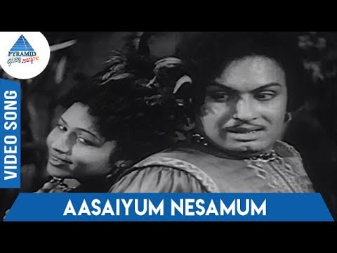 Gulebakavali Tamil Movie Songs | Aasaiyum Nesamum Video Song | MS Viswanathan | TK Ramamoorthy