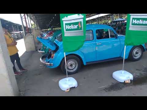 Dnf Dia Nacional do Fusca 2022 em Curitiba PR CEASA Mto Show