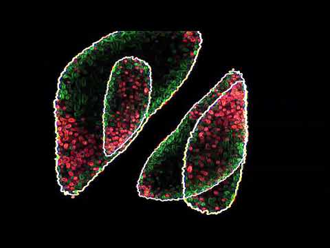 Science Jungle Lab  - TakT x Visceral Design