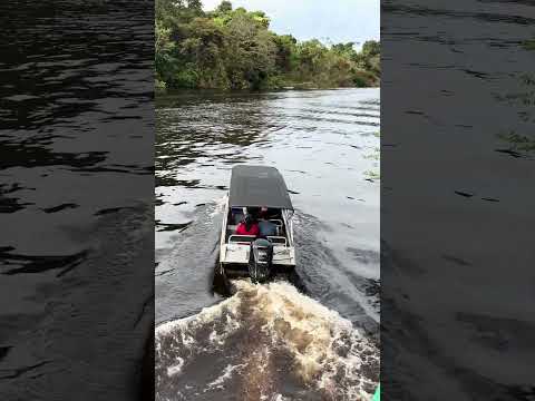 🚨 Saindo pelo Rio Mariepauá em Novo Aripuanã-AM! Veja a Situação Atual 🌊 | 17/04/2026
