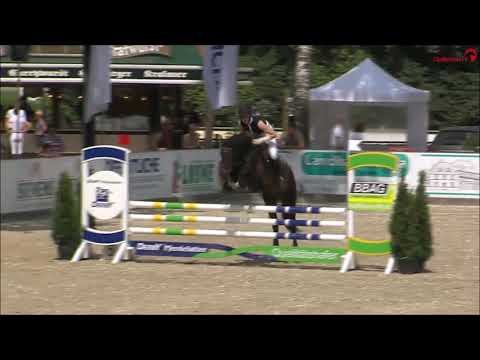 MISSISIPPI 7j. Verlasspony zu verkaufen VB 10.500,- Euro