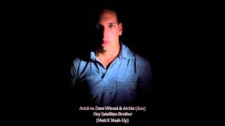 Avicii & Dave Winnel & Archie - Hey Satellites Brother (Matt K Mash Up)