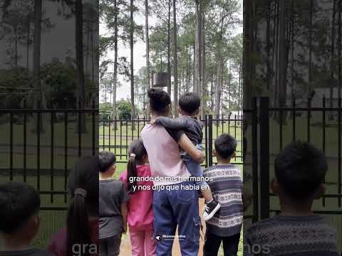 Seis Hermanos buscan un Hogar