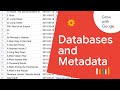 Databases And Metadata For Beginners Google Data Analytics Certificate