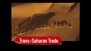 Trans-Saharan Trade Network