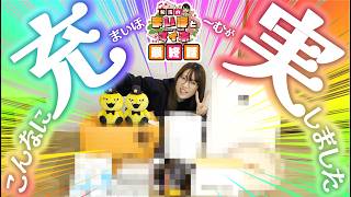 和珠のまいほとマイホ vol.18  