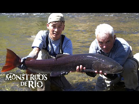 Mauler Mongol: Luchador de Sedal | T4 E03 | Monstruos de Río