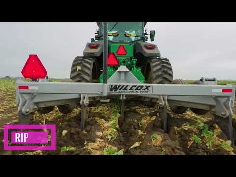 D'Arrigo California Production Video