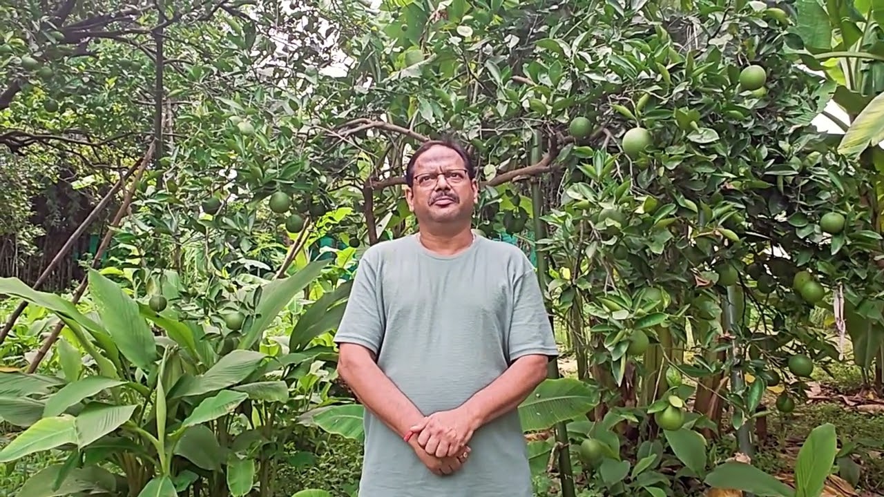 Feedback Video of a Trainee