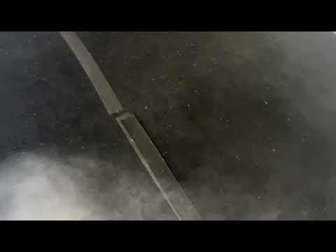 Fleas Found in the Carpet in Toms River, NJ