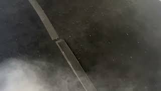 Watch video: Fleas Found in the Carpet in Toms River, NJ