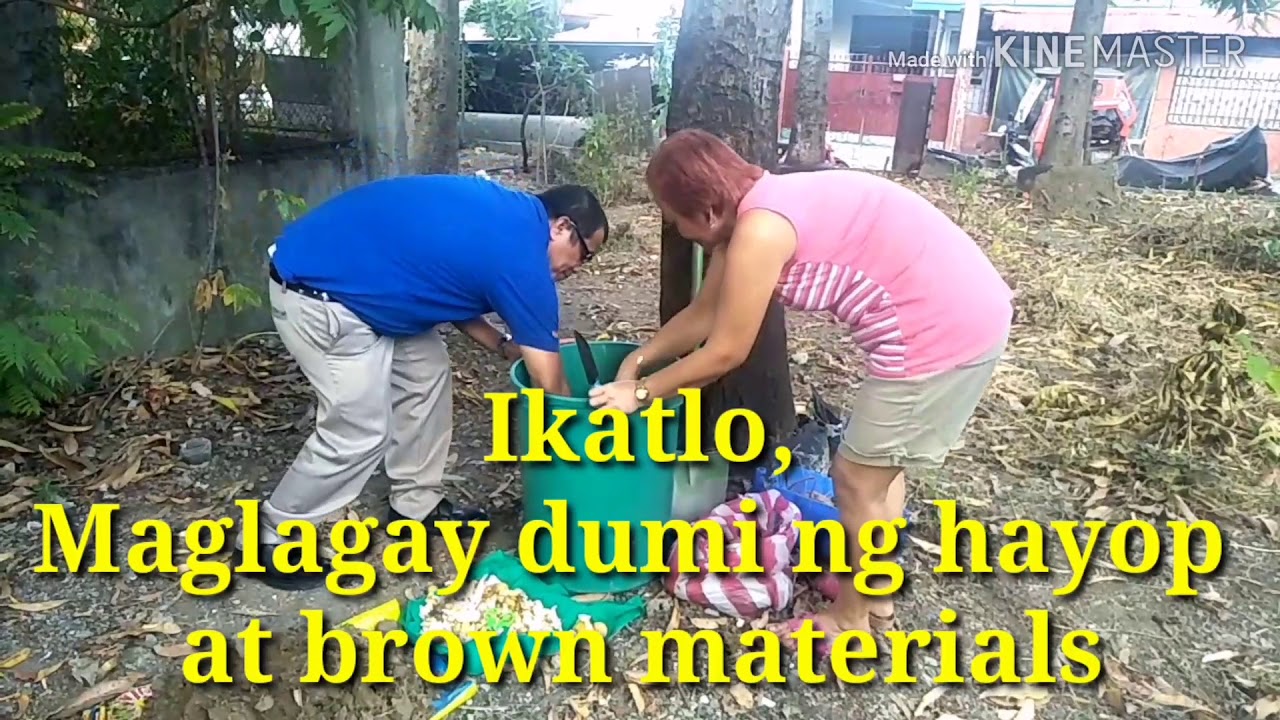 Tamang paraan ng paggawa ng organikong pataba