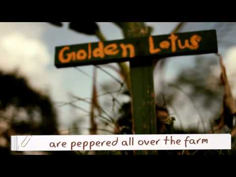 download lagu mp3 mp4 Bollywood Veggies Nasi Lemak, download lagu Bollywood Veggies Nasi Lemak gratis, unduh video klip Bollywood Veggies Nasi Lemak