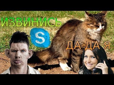 SKYPE: ВАЛЕРА ПРОСИТ ИЗВИНИТЬСЯ ЗА ЖИЖУ КОТА ДА Я ДА ДА Я (Glad_Valakas) ROFL