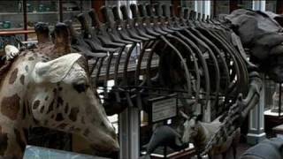 Inside the Dead Zoo Part 1