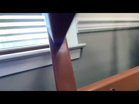 Example of an Ant Pheromone Trail in Whiting, NJ