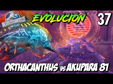 ORTHACANTHUS EVOLUCIÓN VS  AKUPARA 81 | Jurassic World The Game #36 | Gameplay Español