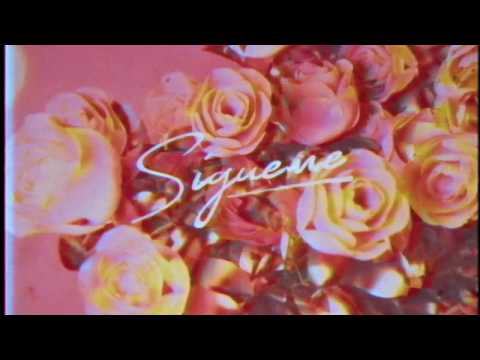 Dzasko & Mauro Ferdinand VS 3N8 featuring Kayla Martinez - Sigueme (Music Video) 🌹