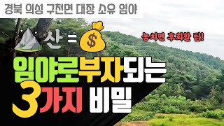 나무만 심는게 아니야! 