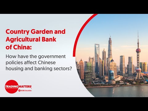 Episódio 17: Horta Rural e Banco Agrícola da China