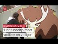 Tunneltje opgevrolijkt met streetart en actie voor slachtoffers aarbeving | Dit is Flevoland