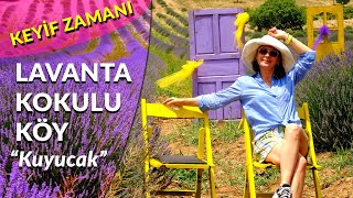 Lavanta Kokulu Köy - Keyif Zamanı