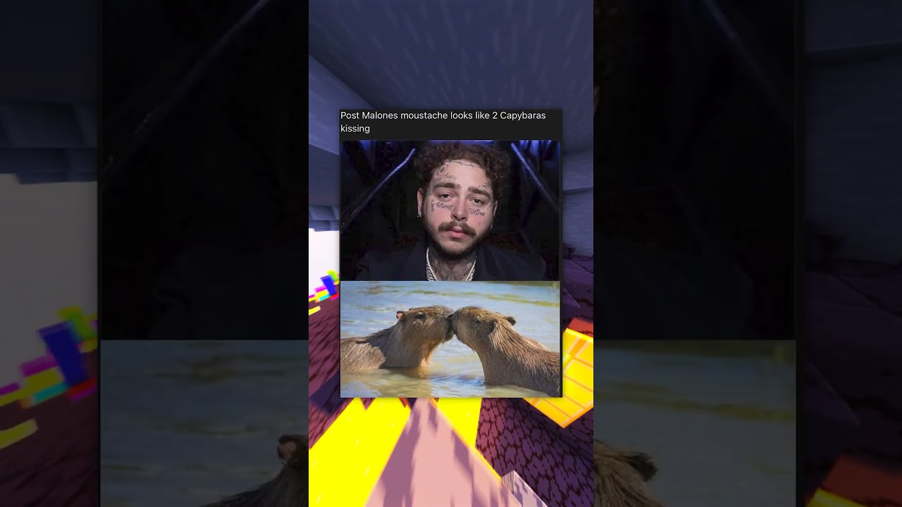 Funny Hilarious Memes!