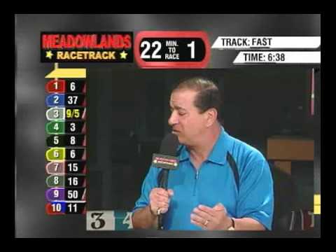 In The Sulky - George Anthony 2010