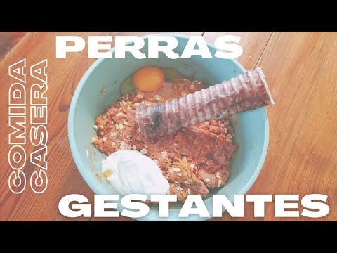 Receta Barf para perra embarazada: nutrición completa